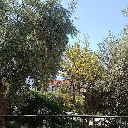 Greekowl Apartments Skiathos Exterior foto