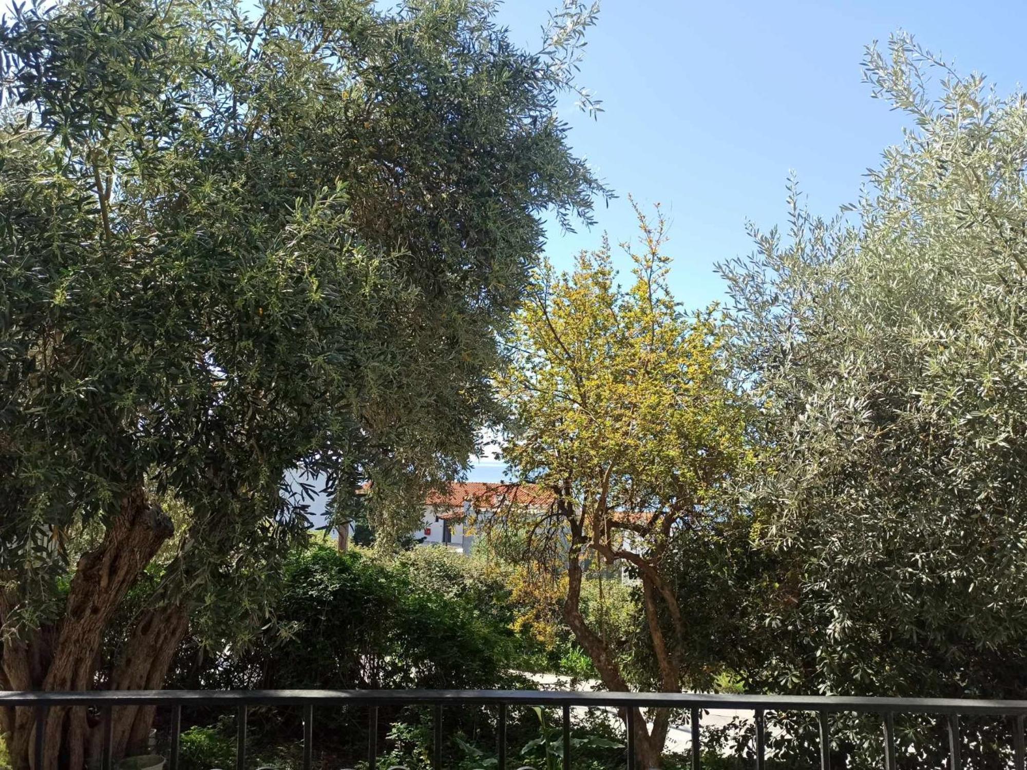 Greekowl Apartments Skiathos Exterior foto