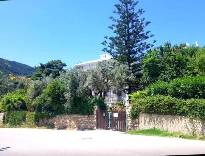 Greekowl Apartments Skiathos Cameră foto